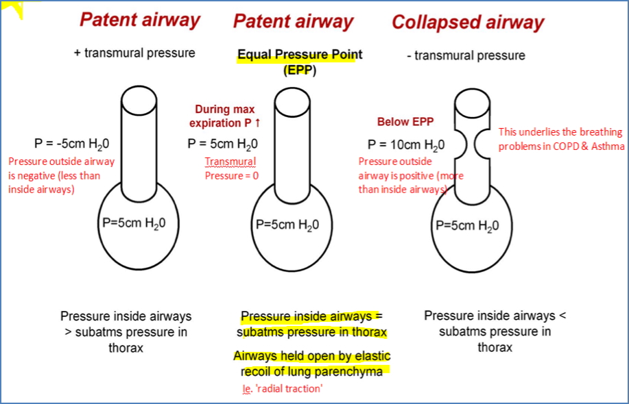 Equal Pressure Point (EPP) explained