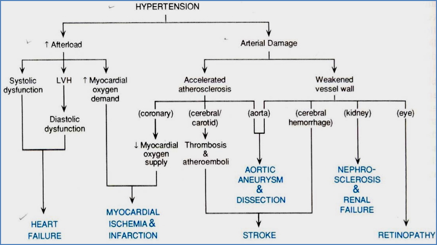 hypertension organ damage