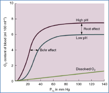 Hb oxygen saturation - Bohr and Root effects