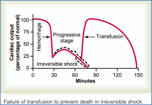 Irreversible Shock Physiology