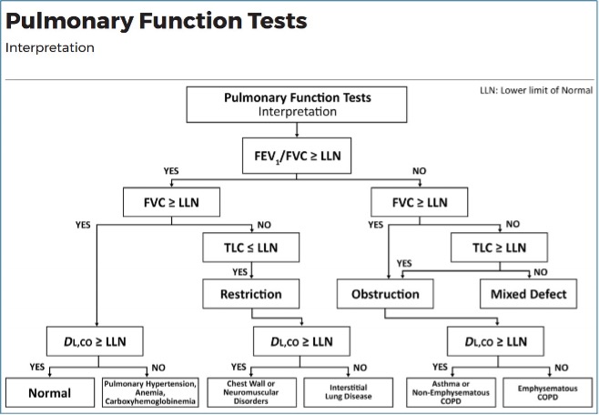 Pulmonary Function Tests