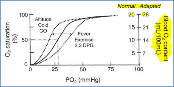 Hyperbaric and Hypobaric Physiology - acclimatization