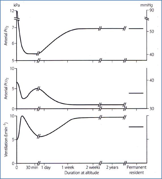 Hyperbaric and Hypobaric Physiology - acclimatization