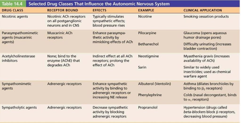 ANS drug classes
