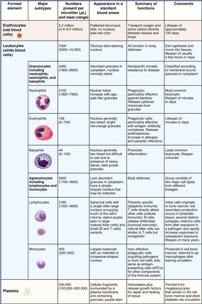 Blood Components