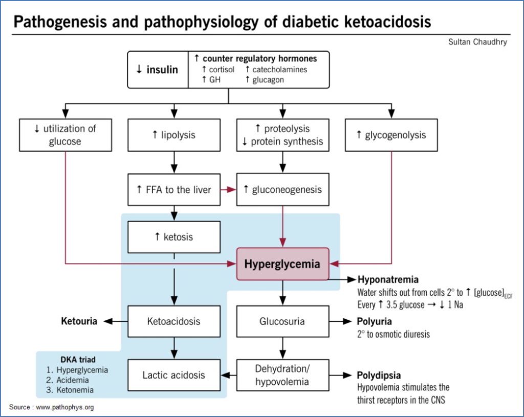 Diabetic Keto-Acidosis