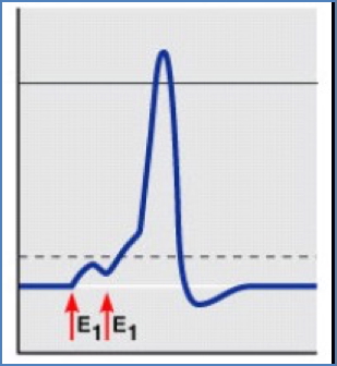 Generator potentials