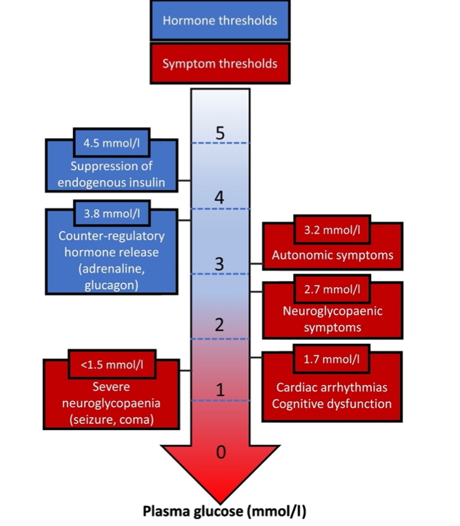 Hypoglycaemia