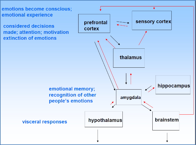 Neurobiology of emotions