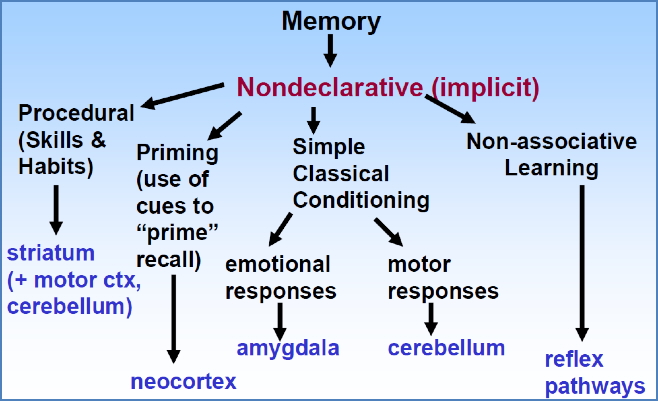 non declarative memory