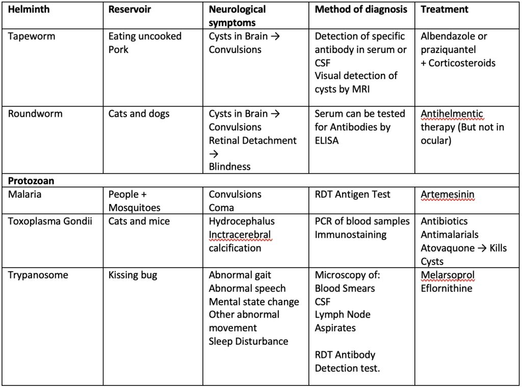 parasitic brain infections