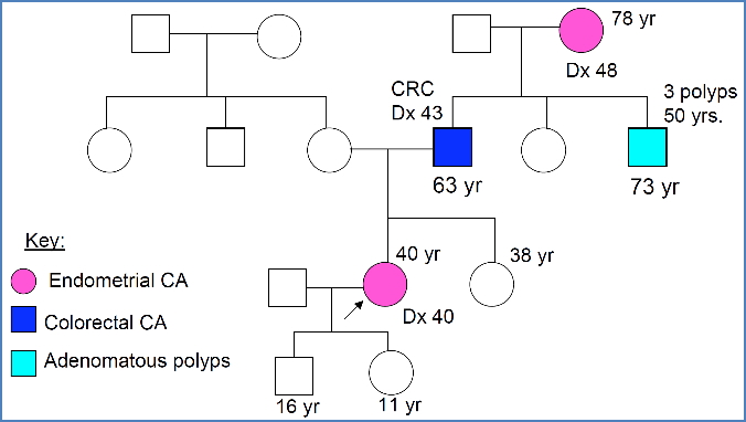 2- HNPCC – (Hereditary Non-Polyposis Colon Cancer
