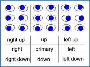 2- Testing Extraocular Muscles