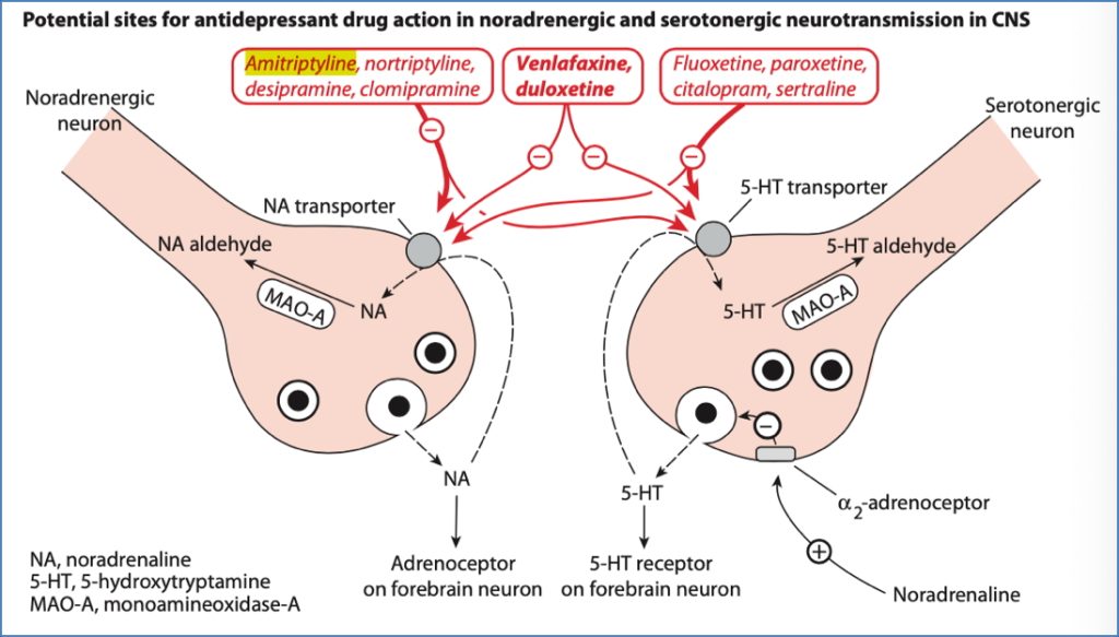 mood stabilising drugs: Antidepressant Drug Groups