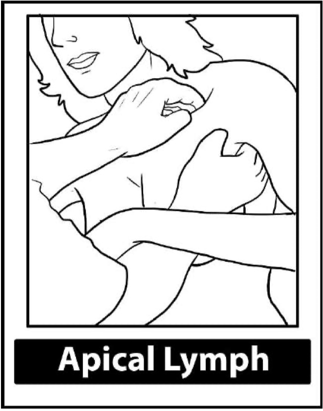 Apical-lymph-node-plapation