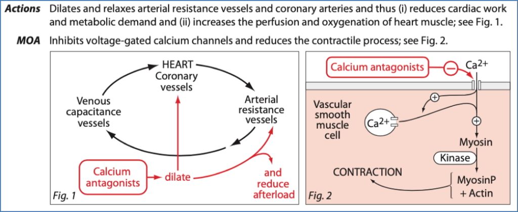 ischaemic heart disease drugs: Ca+ Channel Blockers