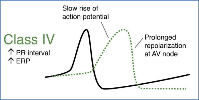 Class-IV antiarrhythmic drugs
