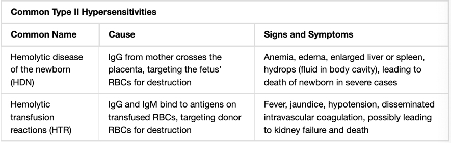 Common Type-II Hypersensitivities