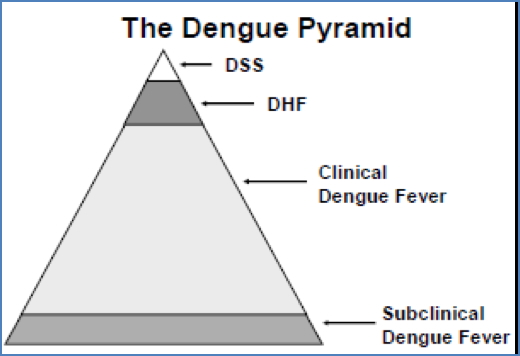 DENGUE VIRUS
