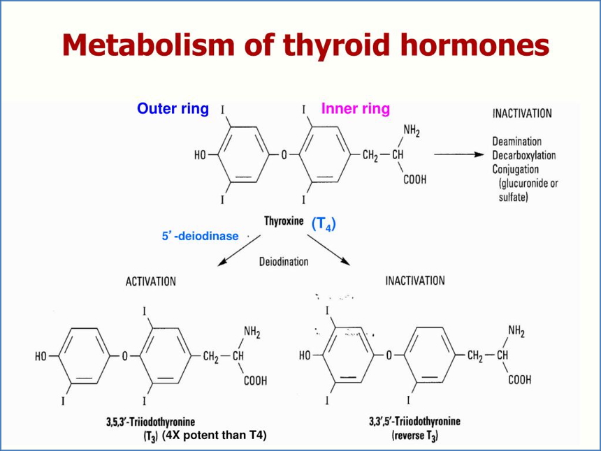 Drugs that Inhibit Peripheral Deiodination