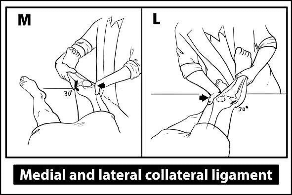 Knee Exam - Collateral Ligaments