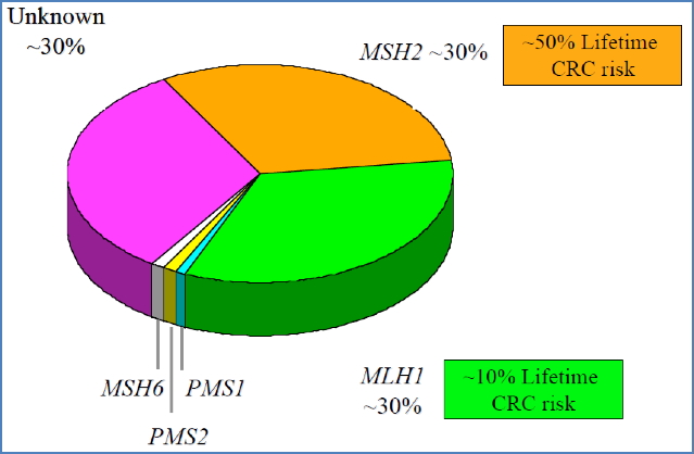 Known Gene Defects Causing HNPCC