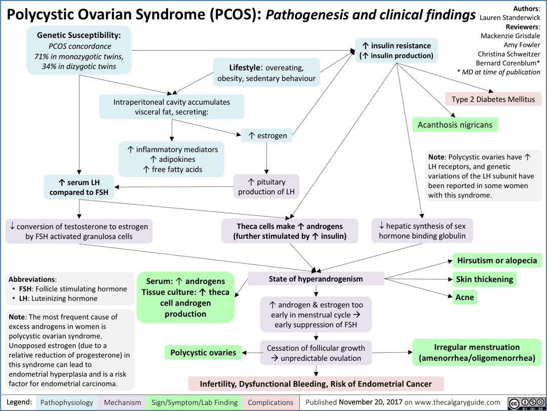 POLYCYSTIC OVARIAN SYNDROME