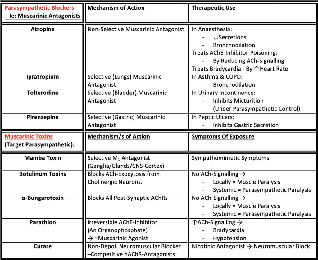 Nervous system drug targets: Parasympathetic-Blockers