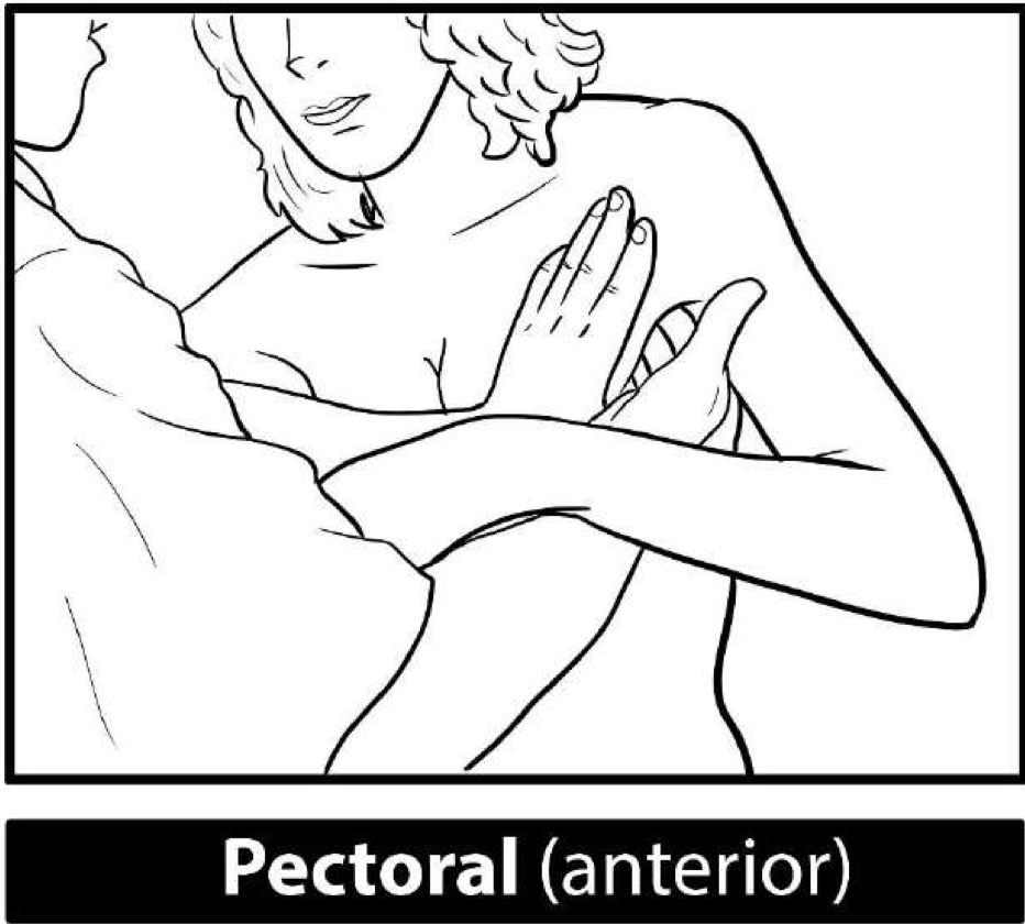 Breast Examination: Pectoral-palpation
