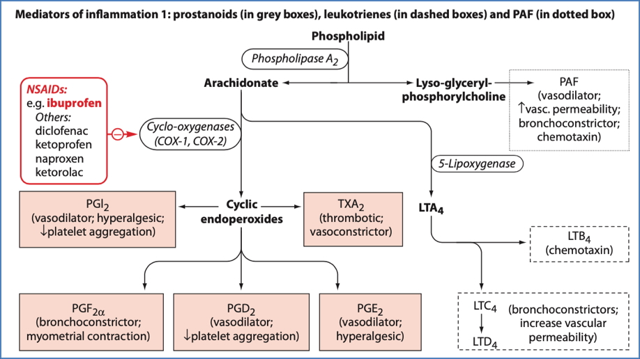Prostanoid Receptors