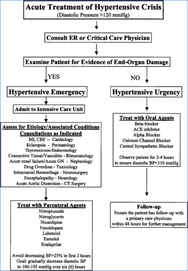 THE EMERGENCY – Acute HYPERTENSION CRISIS