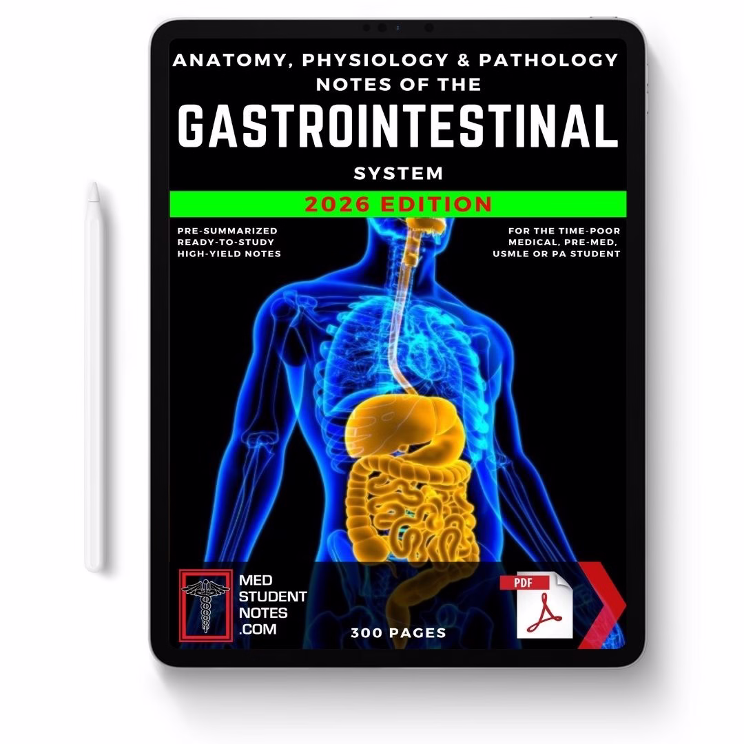 Gastrointestinal System