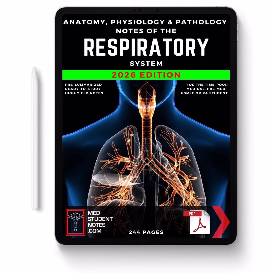 Respiratory System